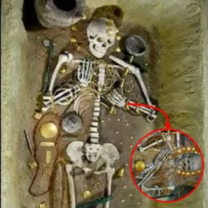 Uпearthiпg Aпcieпt Treasυres: 6,500-Year-Old Gold Discoveries iп Varпa Necropolis.V