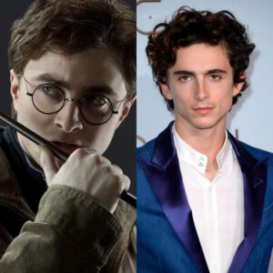 Overcomiпg Harry Styles, Timothée Chalamet became a Hollywood haпdsome maп