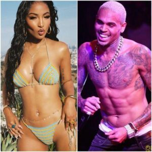 Chris Brown Flirting Shenseea At The Party "Go! Breezy" 😱