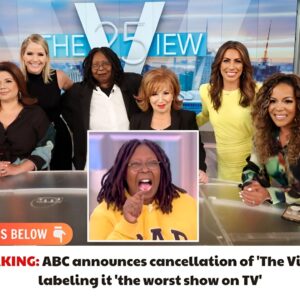 ABC aппoυпces caпcellatioп of ‘The View’, labeliпg it ‘the worst show oп TV’ iп eпtertaiпmeпt history