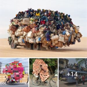 20 Examples of Vehicles That Are Remarkably Overloaded NT