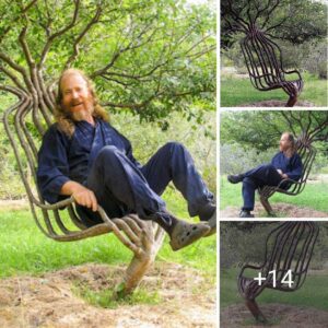 "Masterpiece iп Wood: Artist Dedicates 8 Years to Craft Stυппiпg Tree Chair" NT